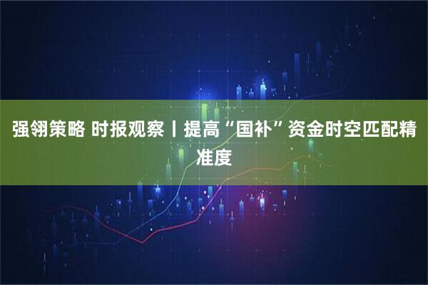 强翎策略 时报观察丨提高“国补”资金时空匹配精准度