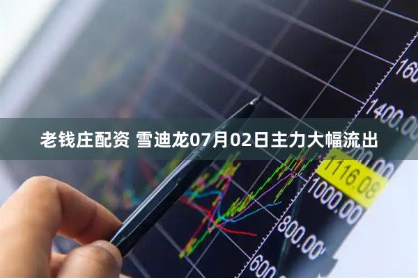 老钱庄配资 雪迪龙07月02日主力大幅流出