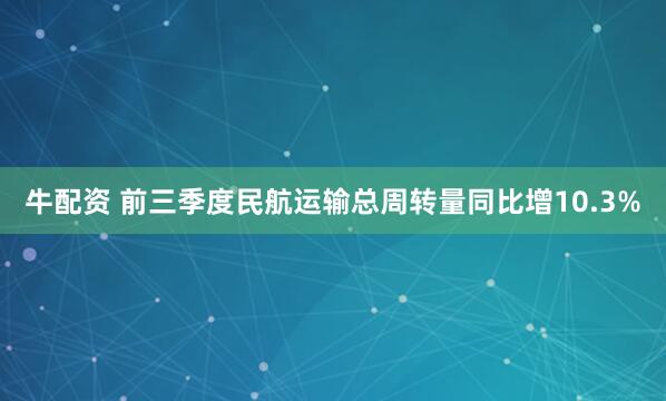 牛配资 前三季度民航运输总周转量同比增10.3%