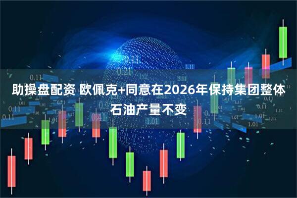 助操盘配资 欧佩克+同意在2026年保持集团整体石油产量不变