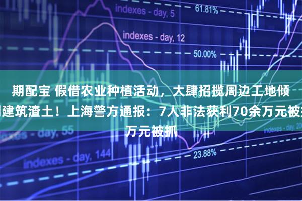 期配宝 假借农业种植活动，大肆招揽周边工地倾倒建筑渣土！上海警方通报：7人非法获利70余万元被抓